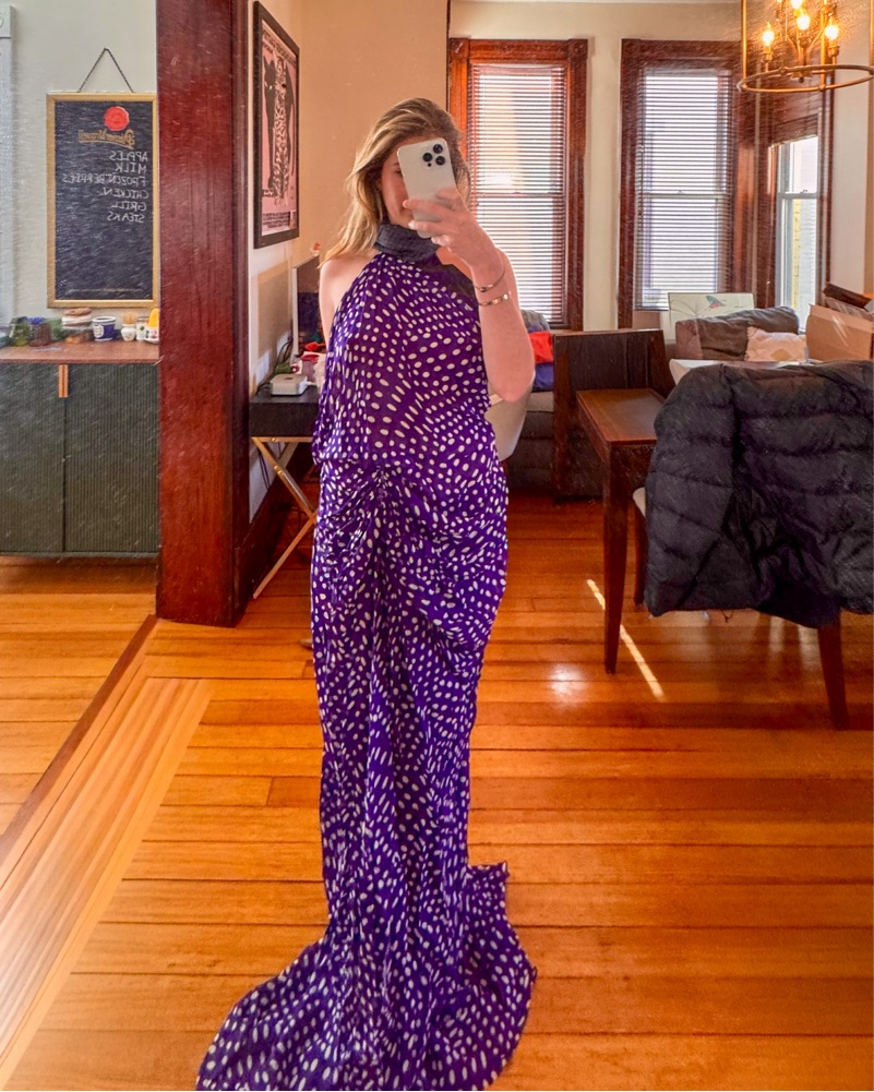 dries van noten devira gown by Dries Van Noten - Pickle