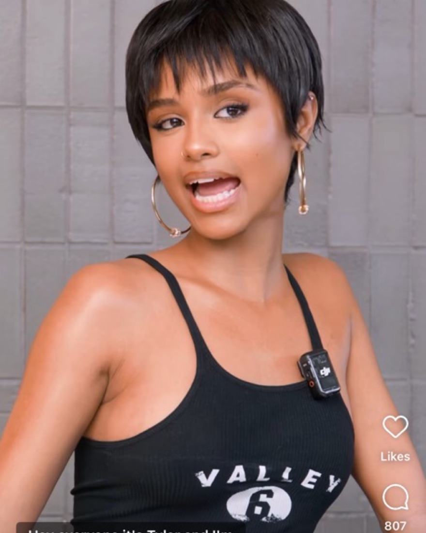 GREG ROSS “Valley” Cropped Tank by Greg ross - Pickle