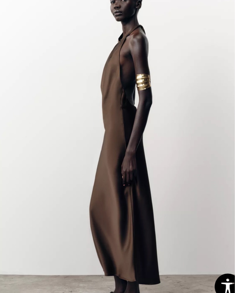 Amo【ZARA】美品　ロングジレ Zara Brown Silk Halter Dress by Zara - Pickle