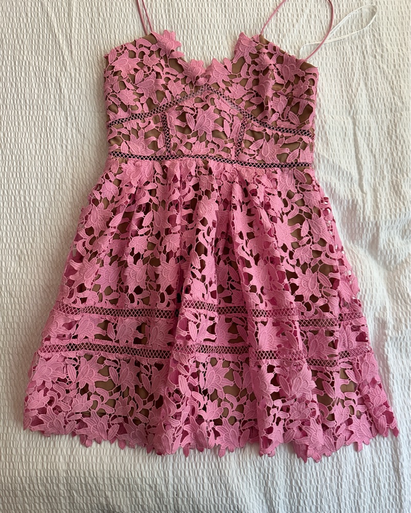 ❤️25新作 新品♡ SelfPortrait ピンク色ミニワンピース♡　E72 SELF-PORTRAIT AZALEA LACE MINI DRESS by Self Portrait - Pickle