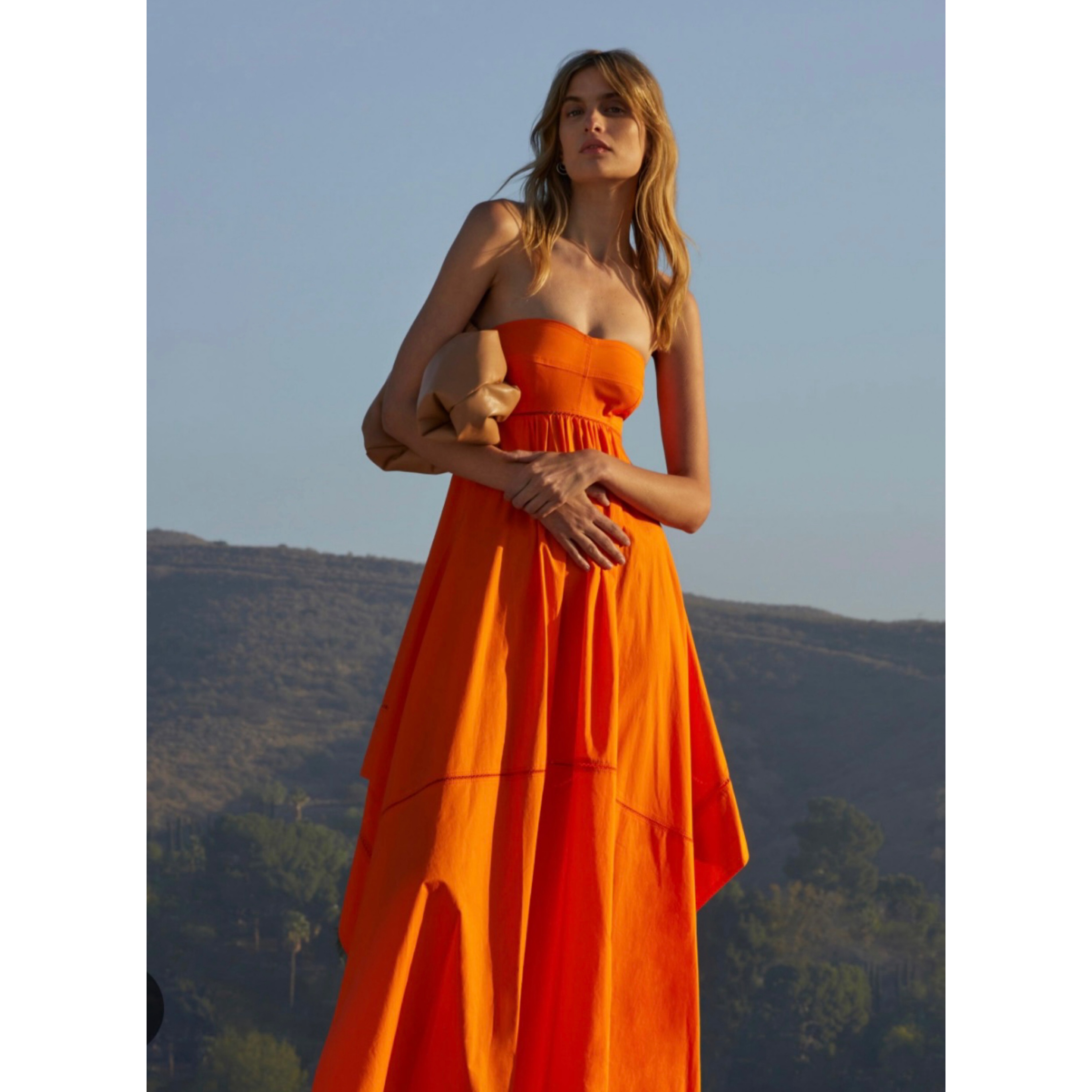 $700 ALC Tangerine Tissue Hem Dress by ALC - Pickle