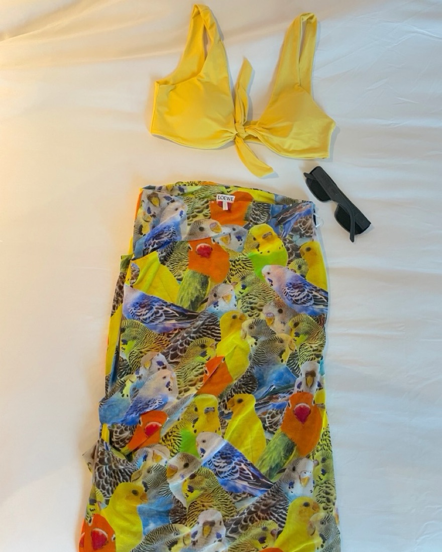 Loewe Parrots Mesh Jersey Midi Skirt by Loewe - Pickle