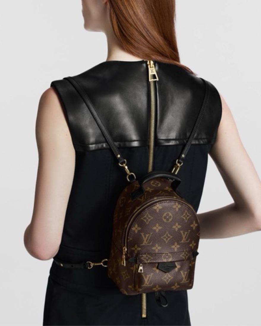 Louis Vuitton Palm Springs Mini Backpack by Louis Vuitton - Pickle