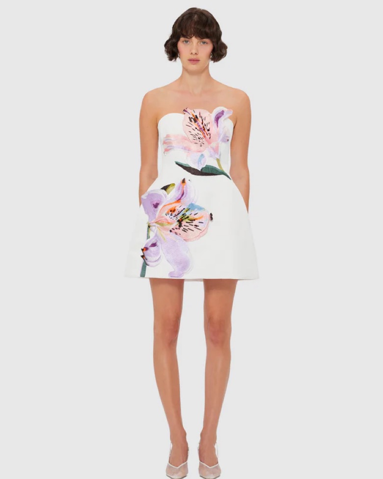 Leo Lin Rosario Floral Mini Dress by Leo Lin - Pickle