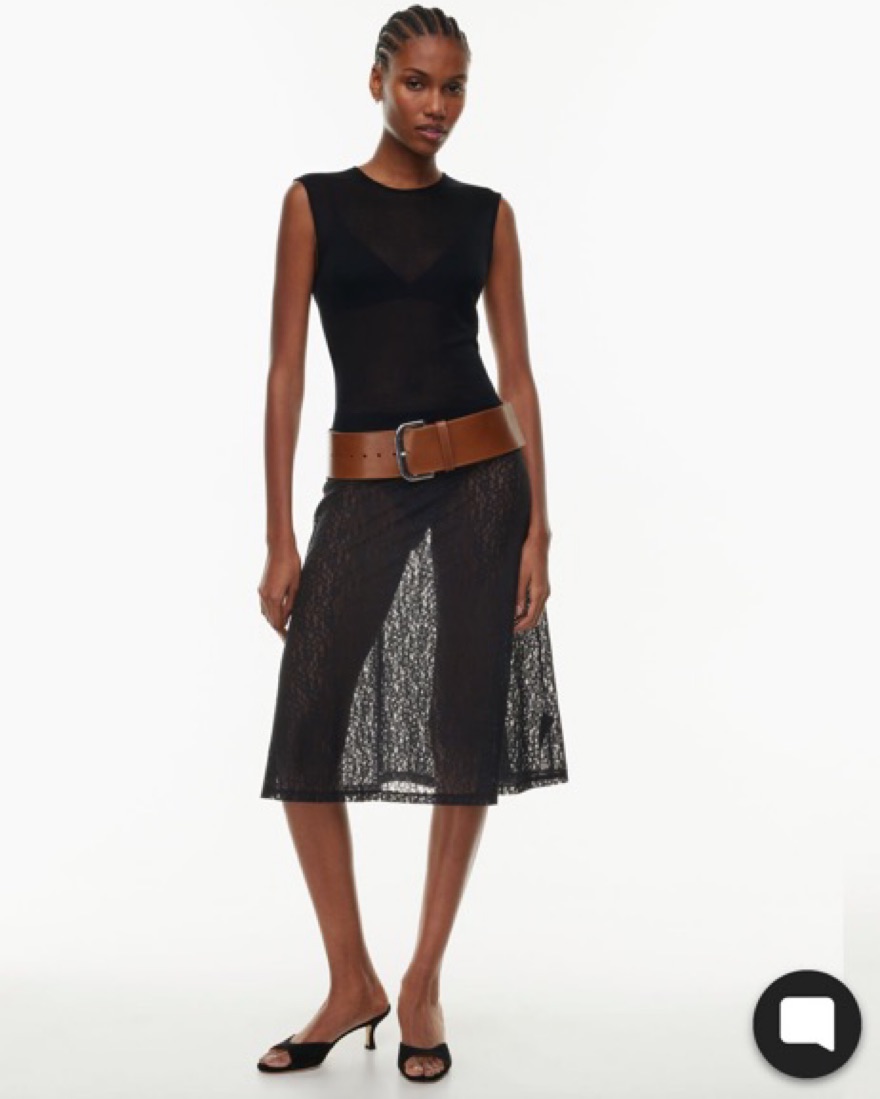Aritzia Sheer lace midi skirt by Aritzia - Pickle