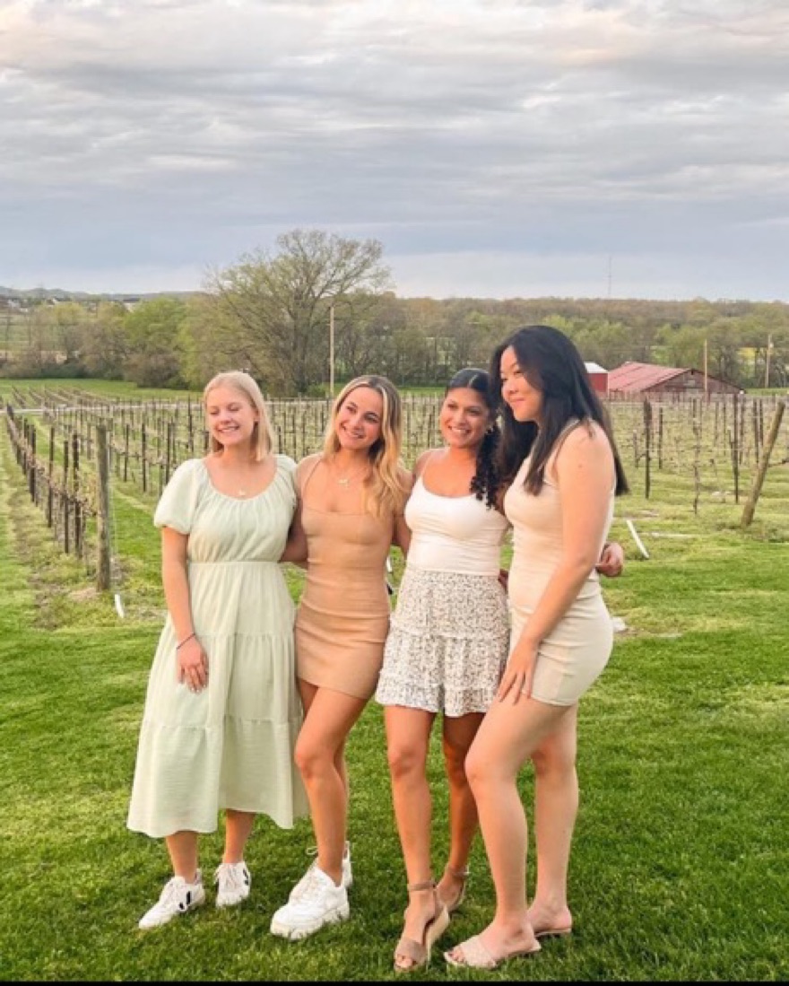 Babaton / Aritizia Tan Mini Dress by Aritzia - Pickle