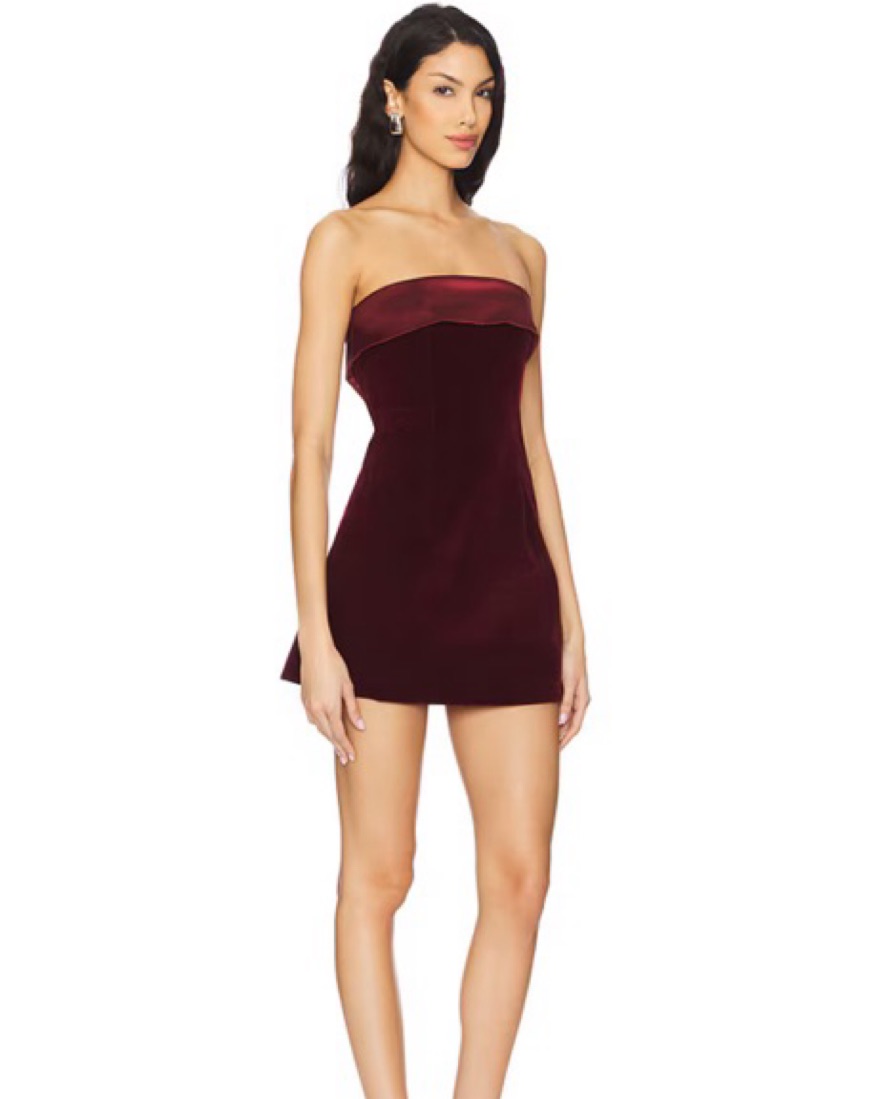 Vivika Velvet Mini Dress - Plum by More to Come - Pickle