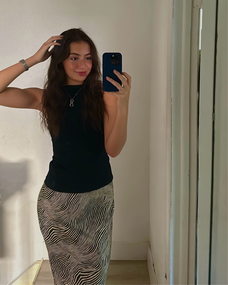 Zara Zebra Print Skirt by Zara - Pickle
