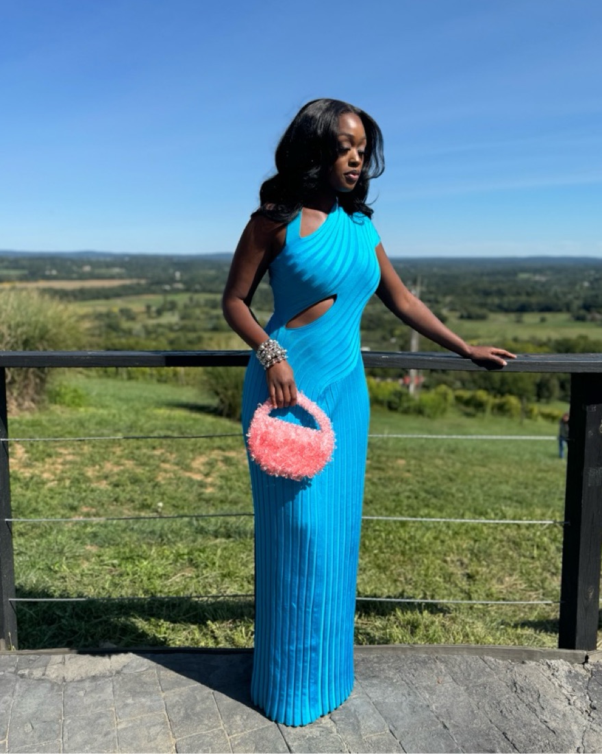 Hanifa CLARISE KNIT MAXI DRESS by Hanifa - Pickle