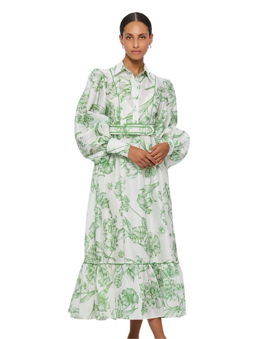 Leo Lin Stephania Midi Dress by Leo Lin - Pickle