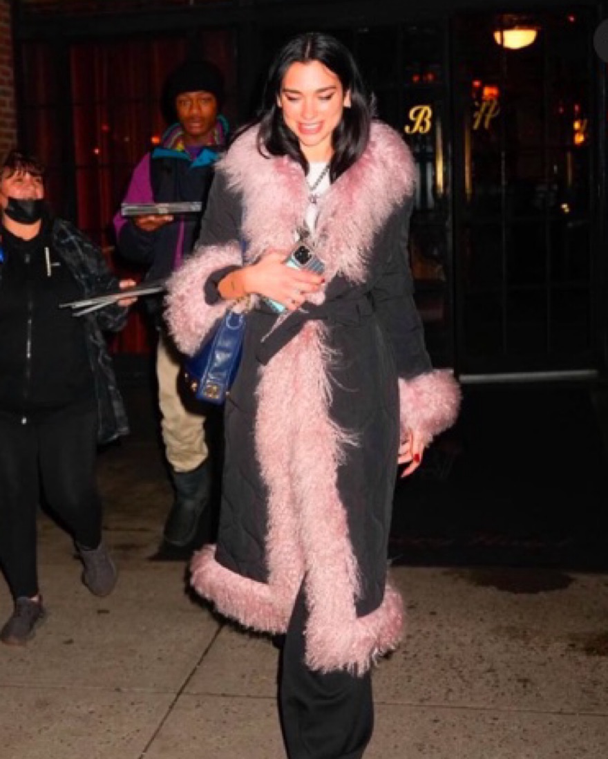 Rent Pink Jackets - Pickle