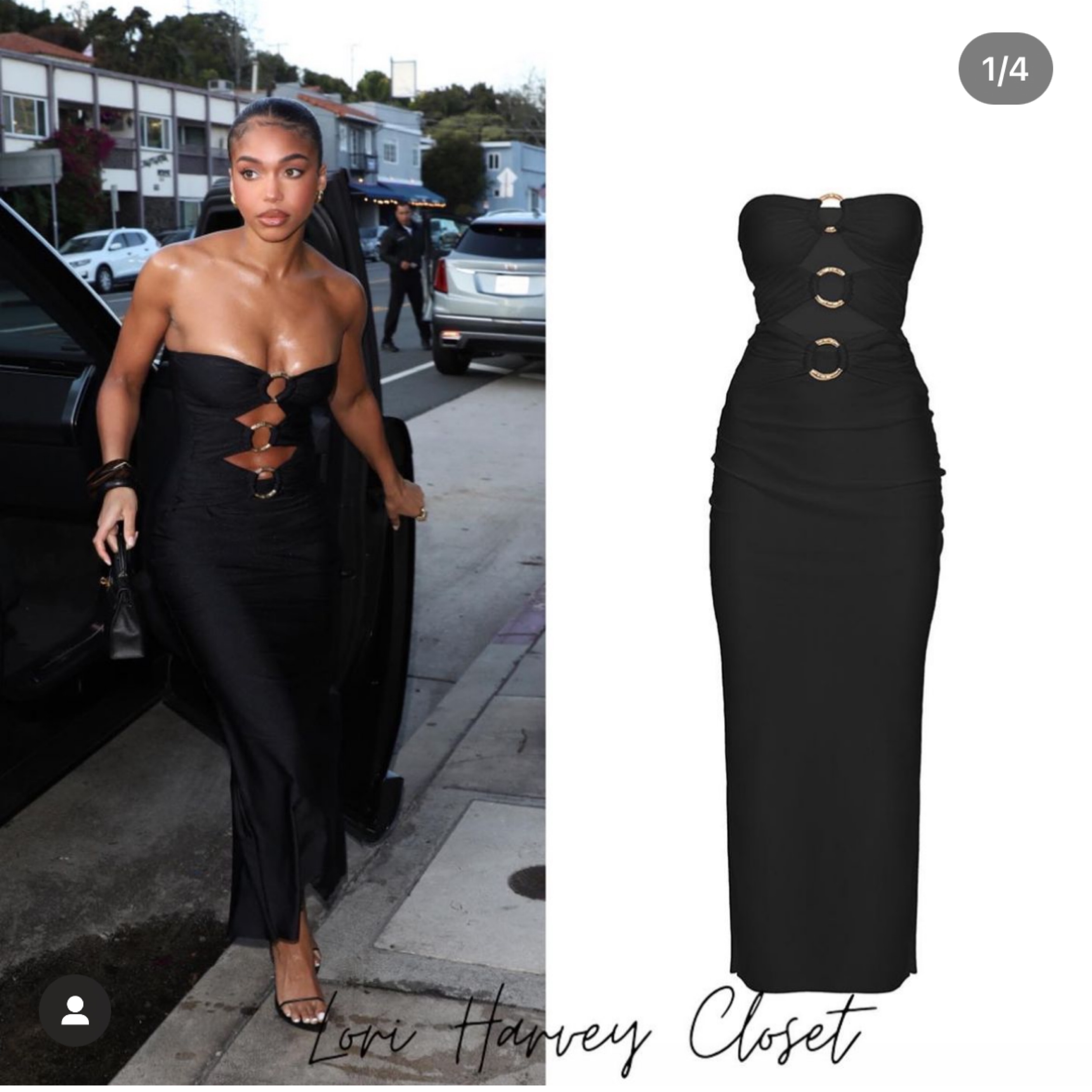 Shani Shemer Lily Dress 🔥 by Retrofete - Pickle