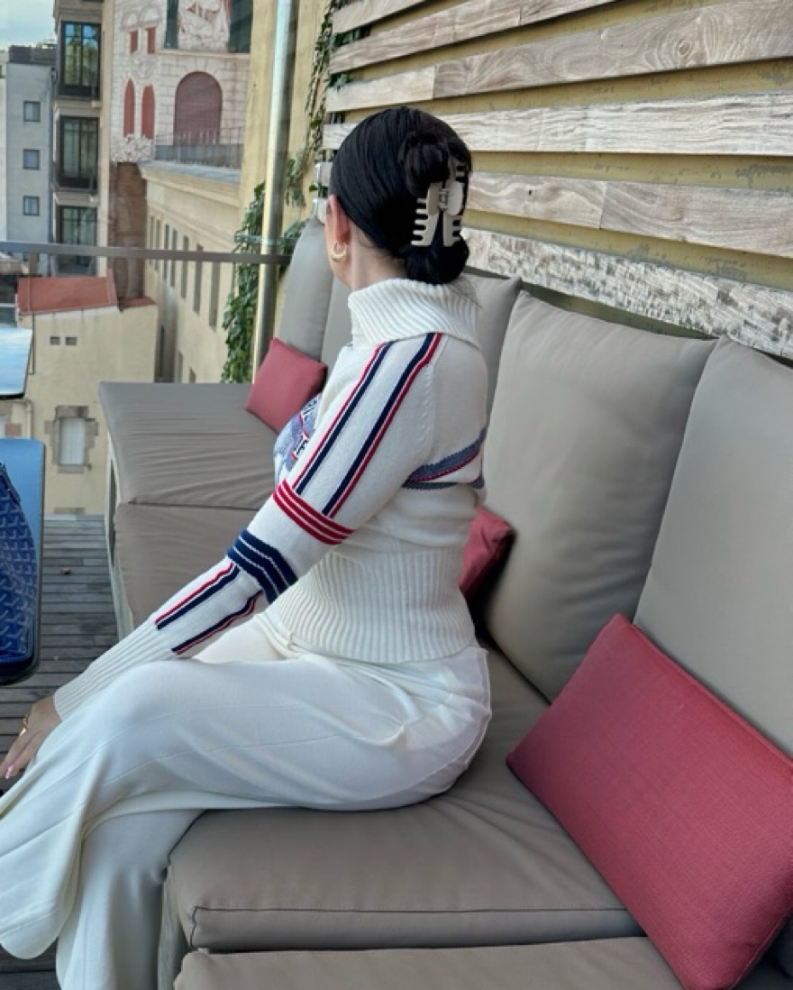 Christian Dior Sweater Alps Collection by Christian Dior - Pickle