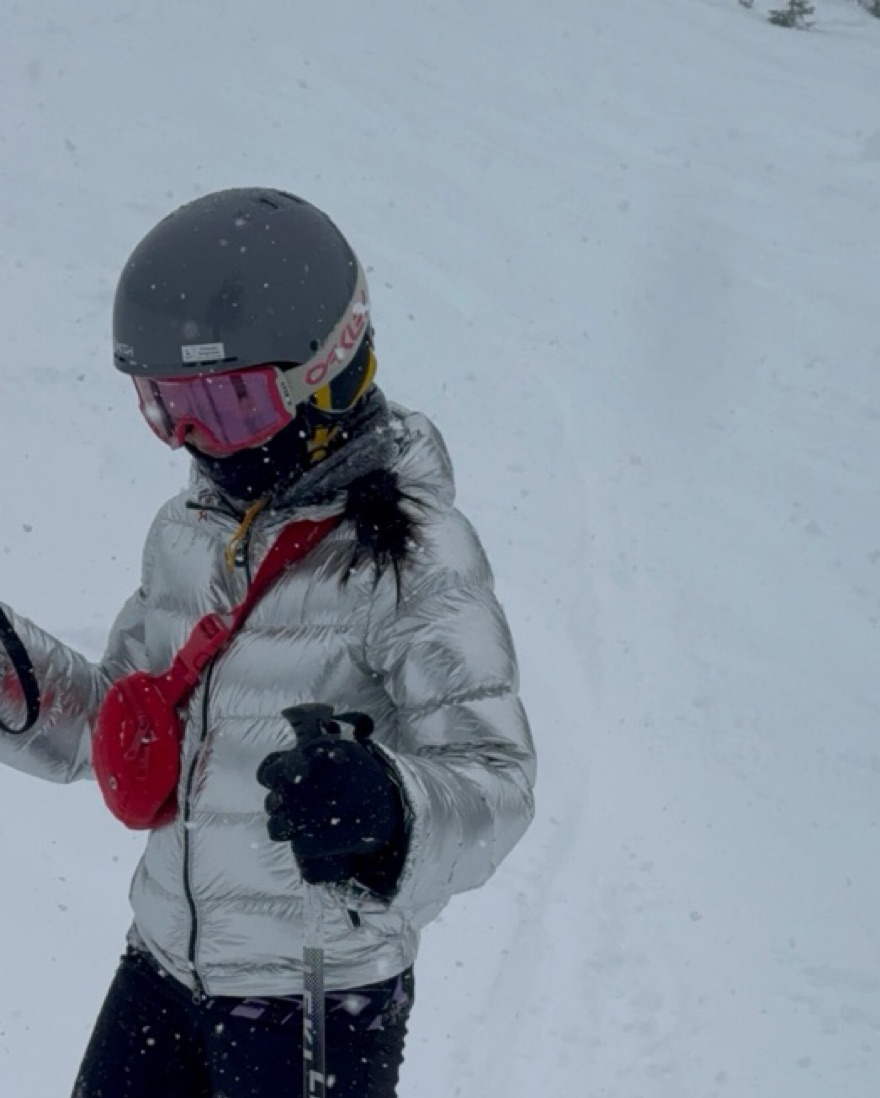 Perfect Moment Silver Ski Jacket by Perfect Moment - Pickle