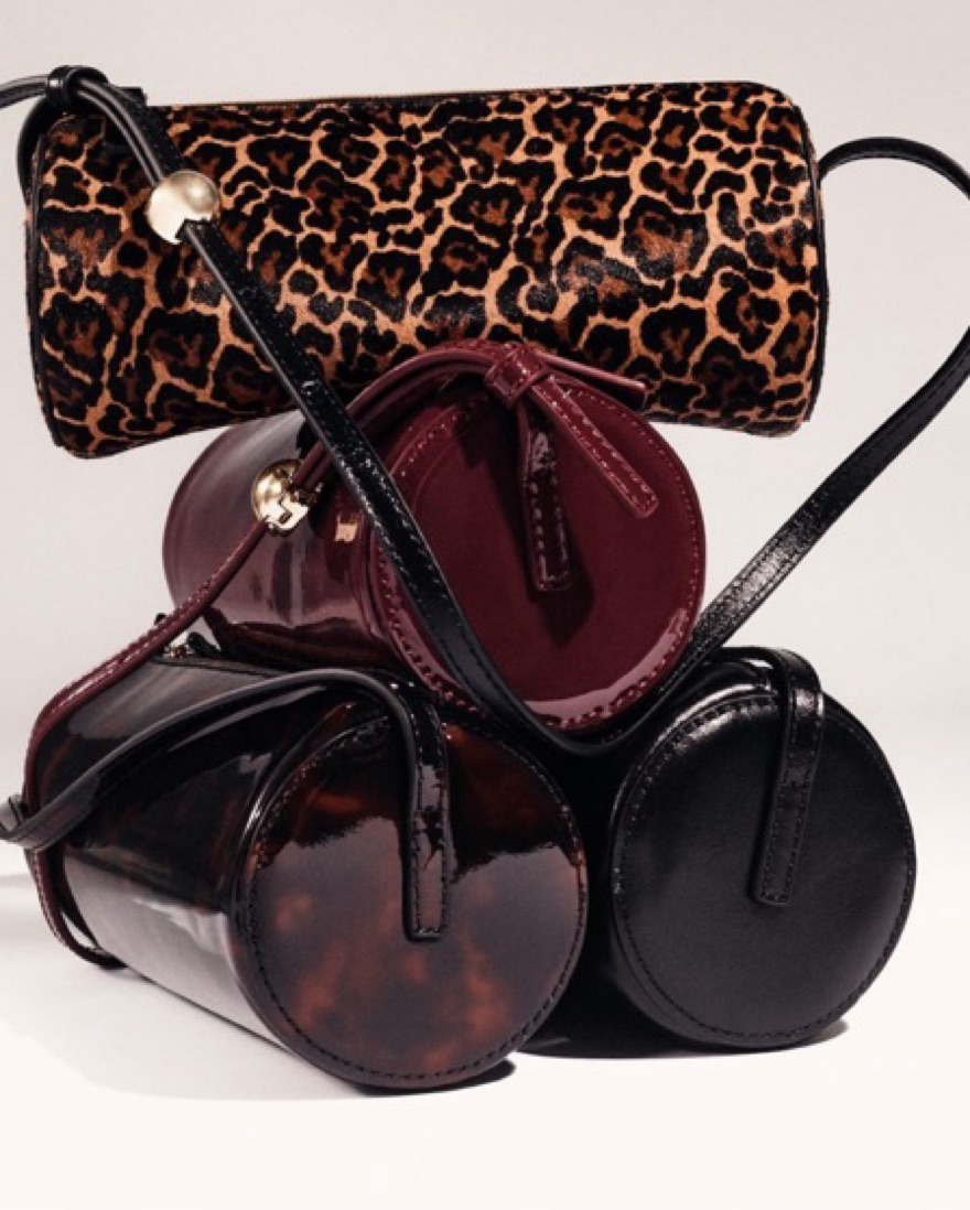Jcrew 90's Inspired Bag In Tortoise by J Crew - Pickle