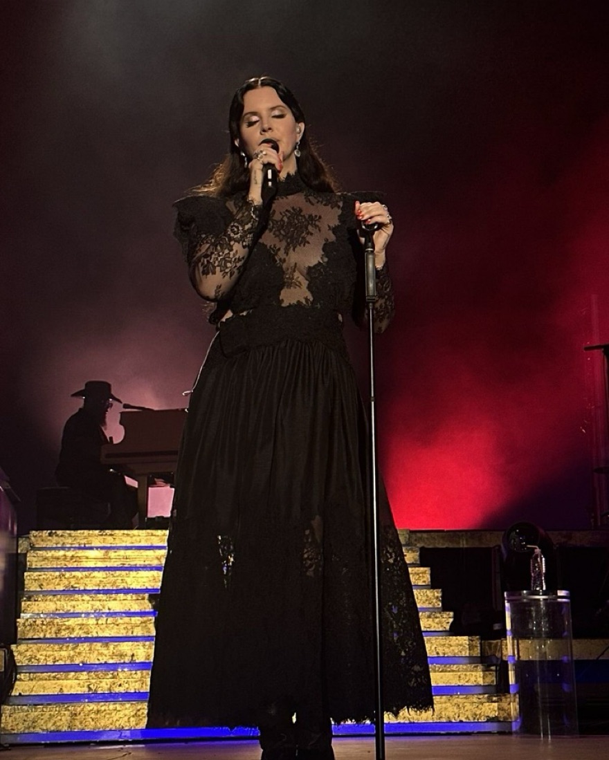 Zimmermann Sensory Lace Yoke Gown by Zimmermann - Pickle