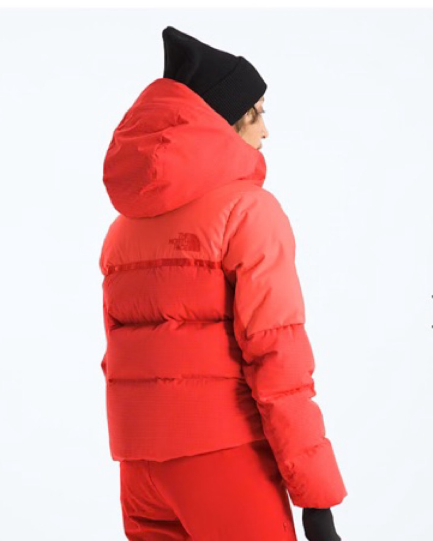 North Face Ski Jacket by The North Face - Pickle