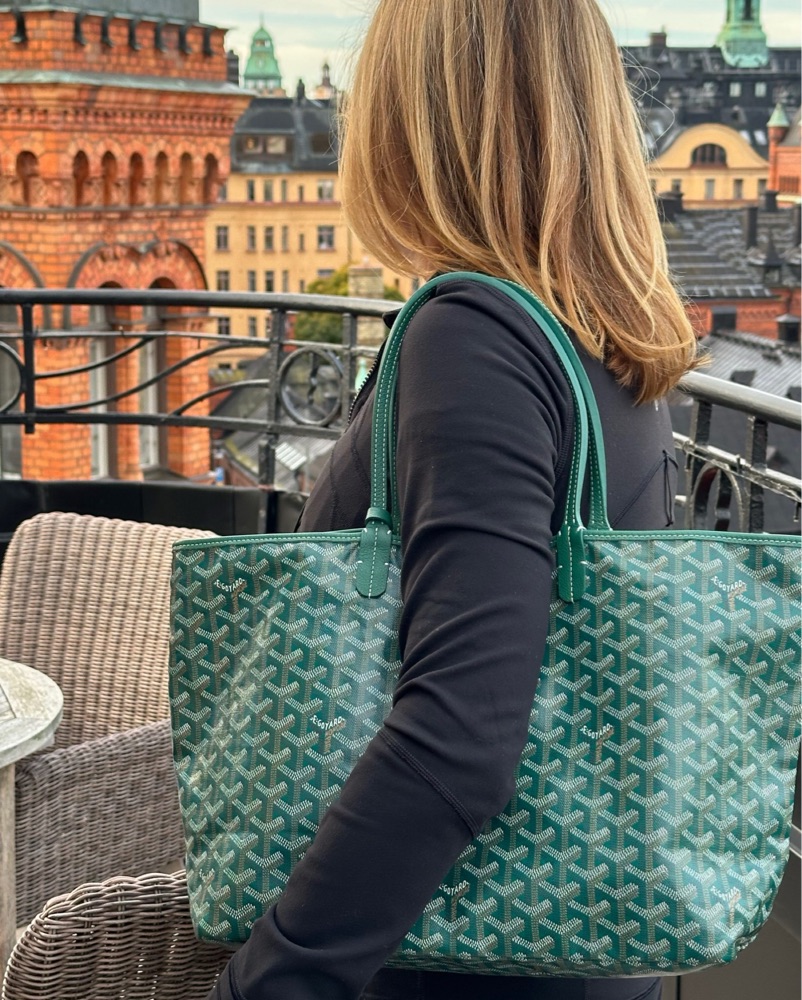 Goyard Bag by Goyard - Pickle