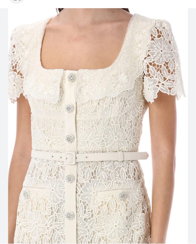 self-portrait Guipure lace mini dress by Self Portrait - Pickle