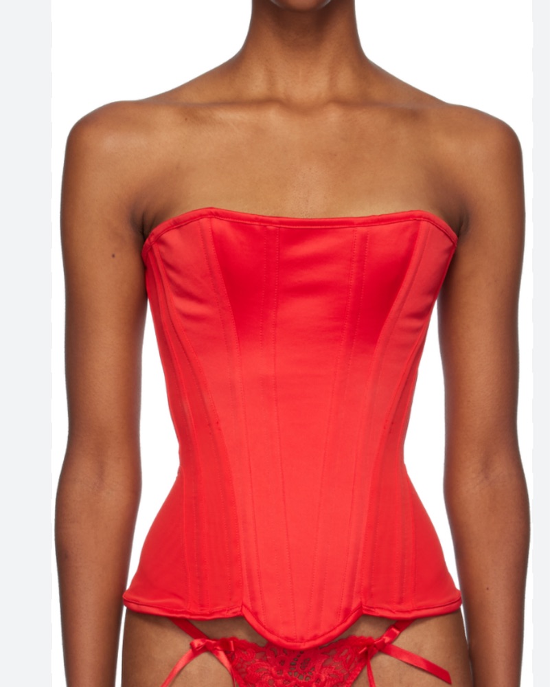 $700 Agent provocateur Scarlie Corset 😍 by Agent Provocateur - Pickle