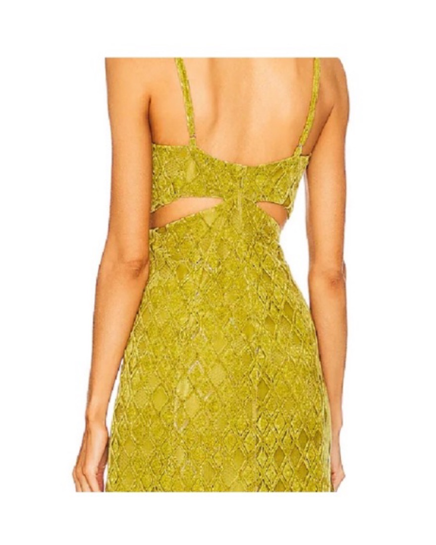 House Of Harlow 1960 Francia Maxi Dress by House Of Harlow - Pickle