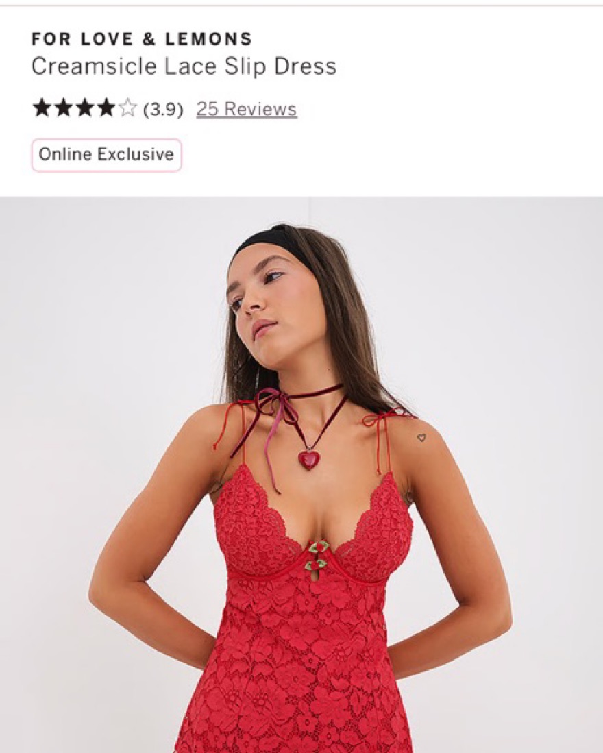FOR LOVE & LEMONS Creamsicle Lace Slip by For Love & Lemons - Pickle