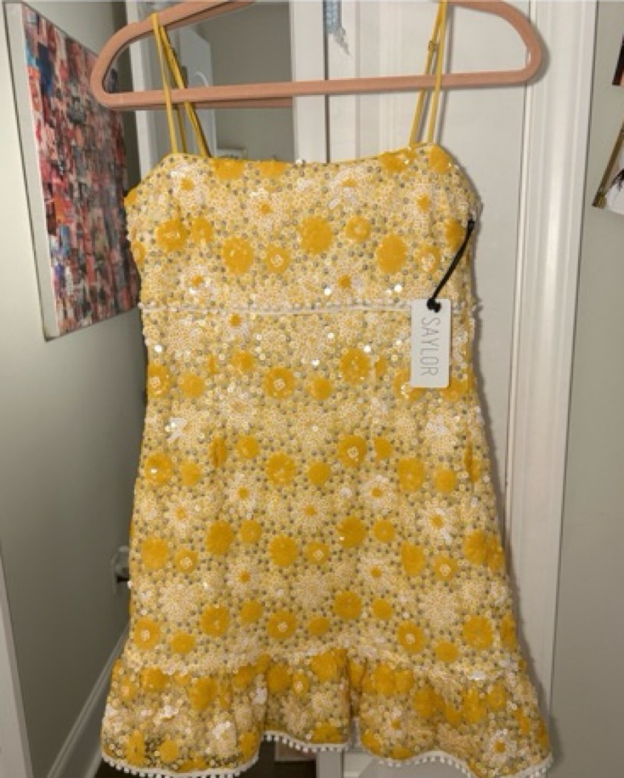 SAYLOR/FREE PEOPLE Muireann Dress by Free People - Pickle