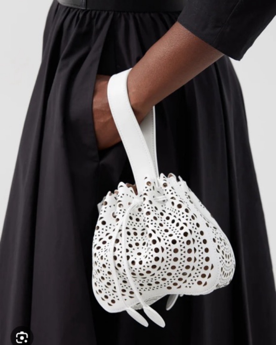 Alaia Rose Marie 16 Wristlet by Alaia - Pickle