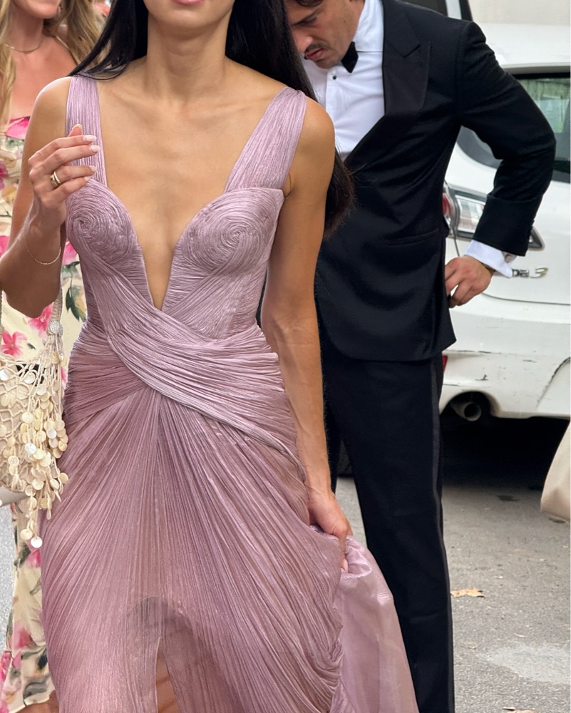 MARIA LUCIA HOHAN Corinna Gown by Maria Lucia Hohan - Pickle