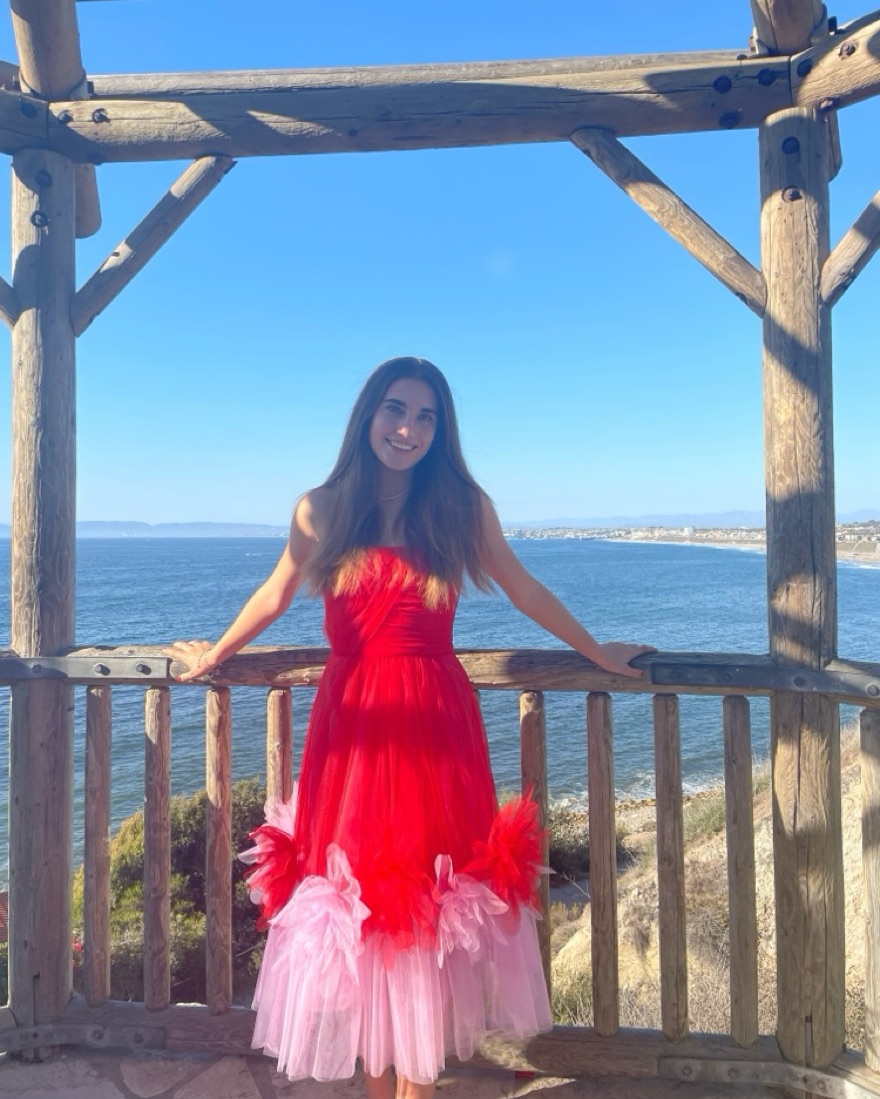 BCBG MAXAZRHA サマードレス BCBGMAXAZRIA Tulle Flower Dress by BCBG Maxazria - Pickle