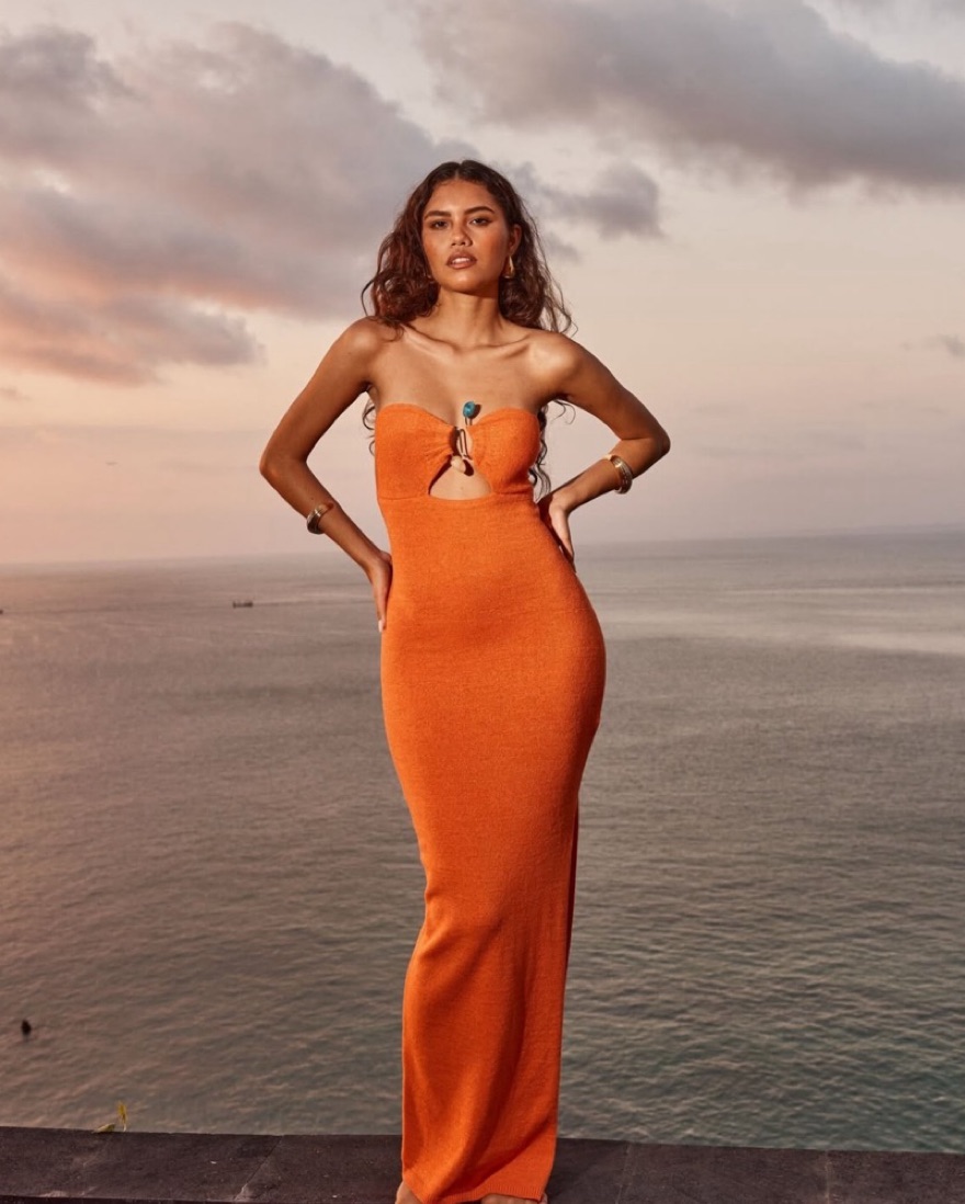 dress Orange Runaway Dress by RUNAWAY the Label - Pickle