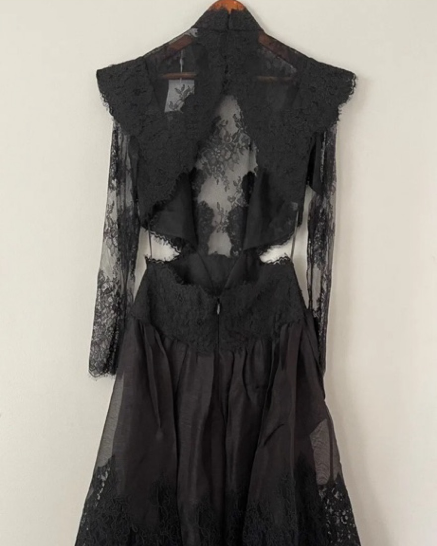 Zimmermann Sensory Lace Yoke Gown by Zimmermann - Pickle