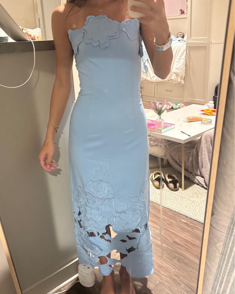 Miss Rosier Maxi Dress by Miss Rosier - Pickle