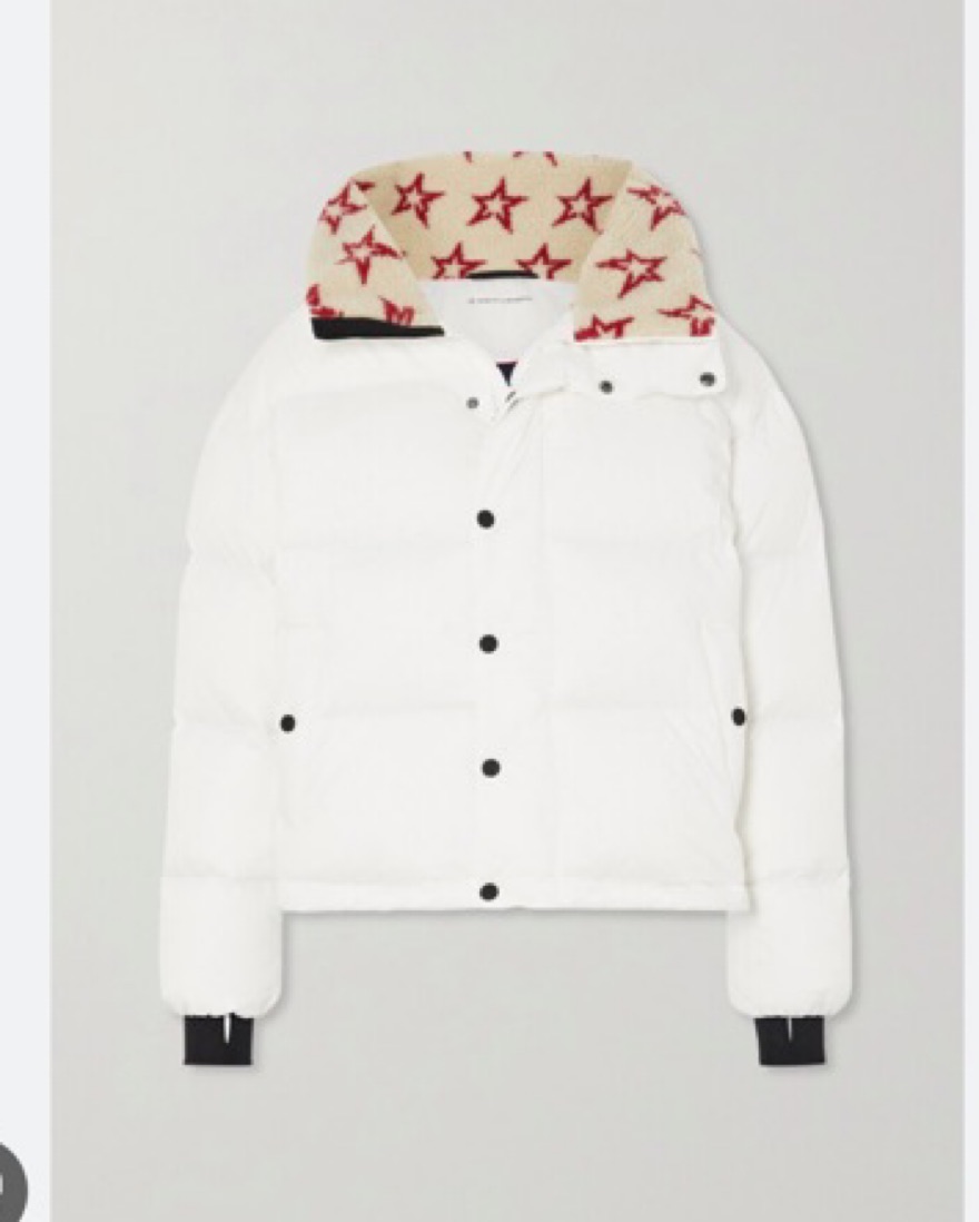 Perfect Moment Ski Jacket by Perfect Moment - Pickle