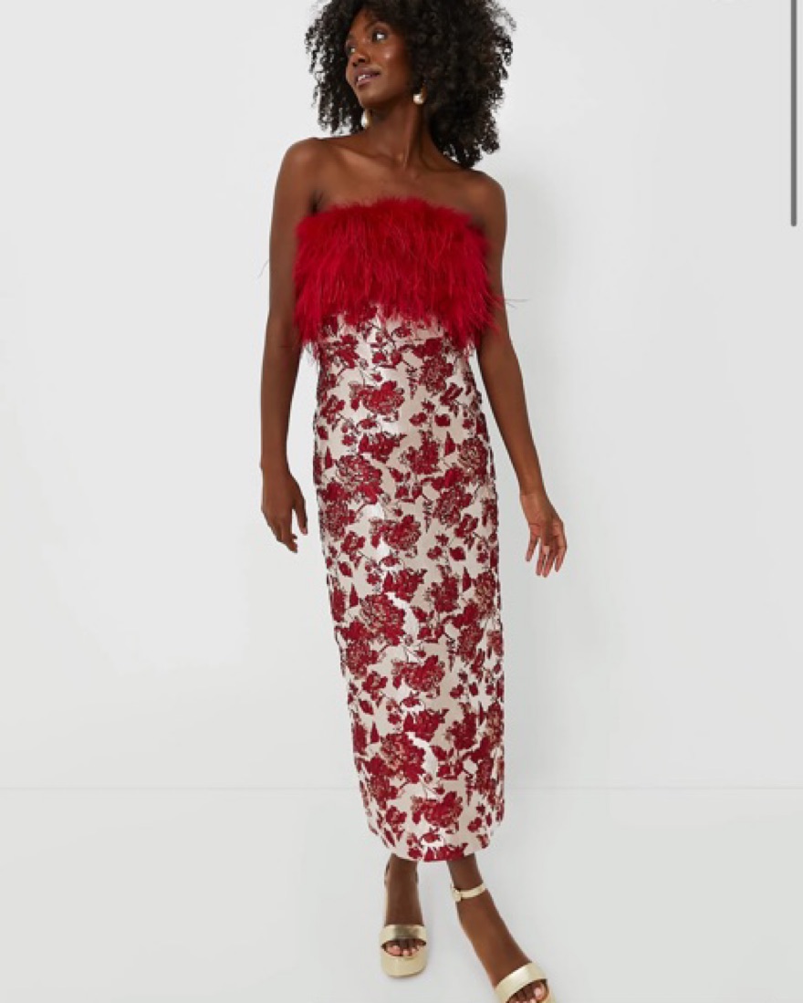 Tuckernuck Red Feather Dress by Tuckernuck - Pickle