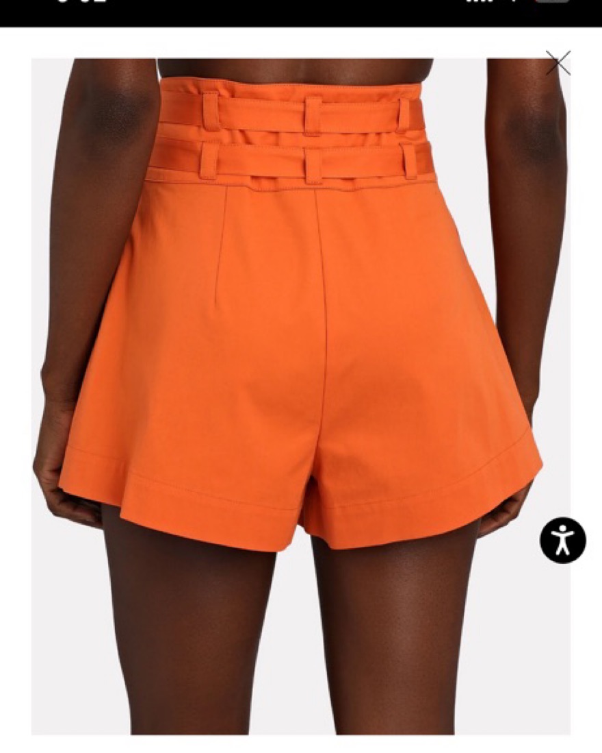 Orange Shorts by Intermix - Pickle