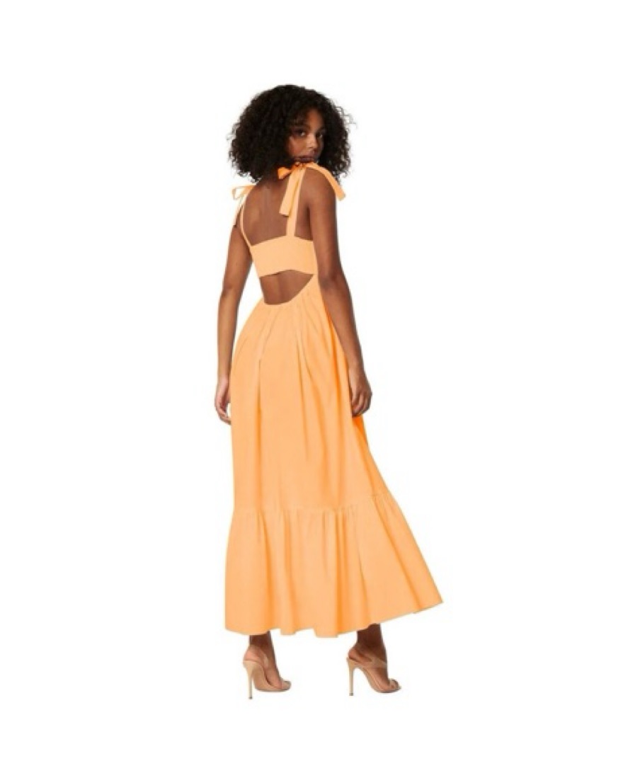 Vibrant Orange Maxi Dress by Misa Los Angeles - Pickle