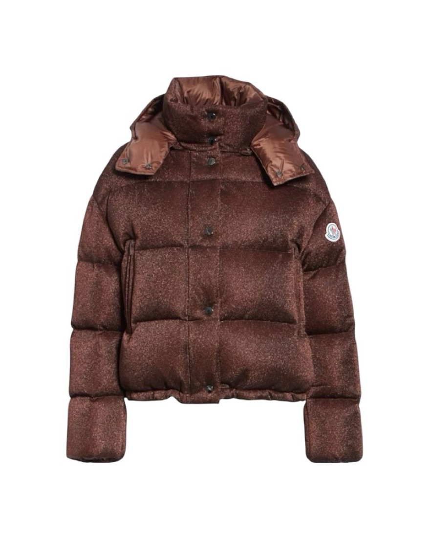 $2,700 Moncler Chocolate Brown Puffer by Moncler - Pickle