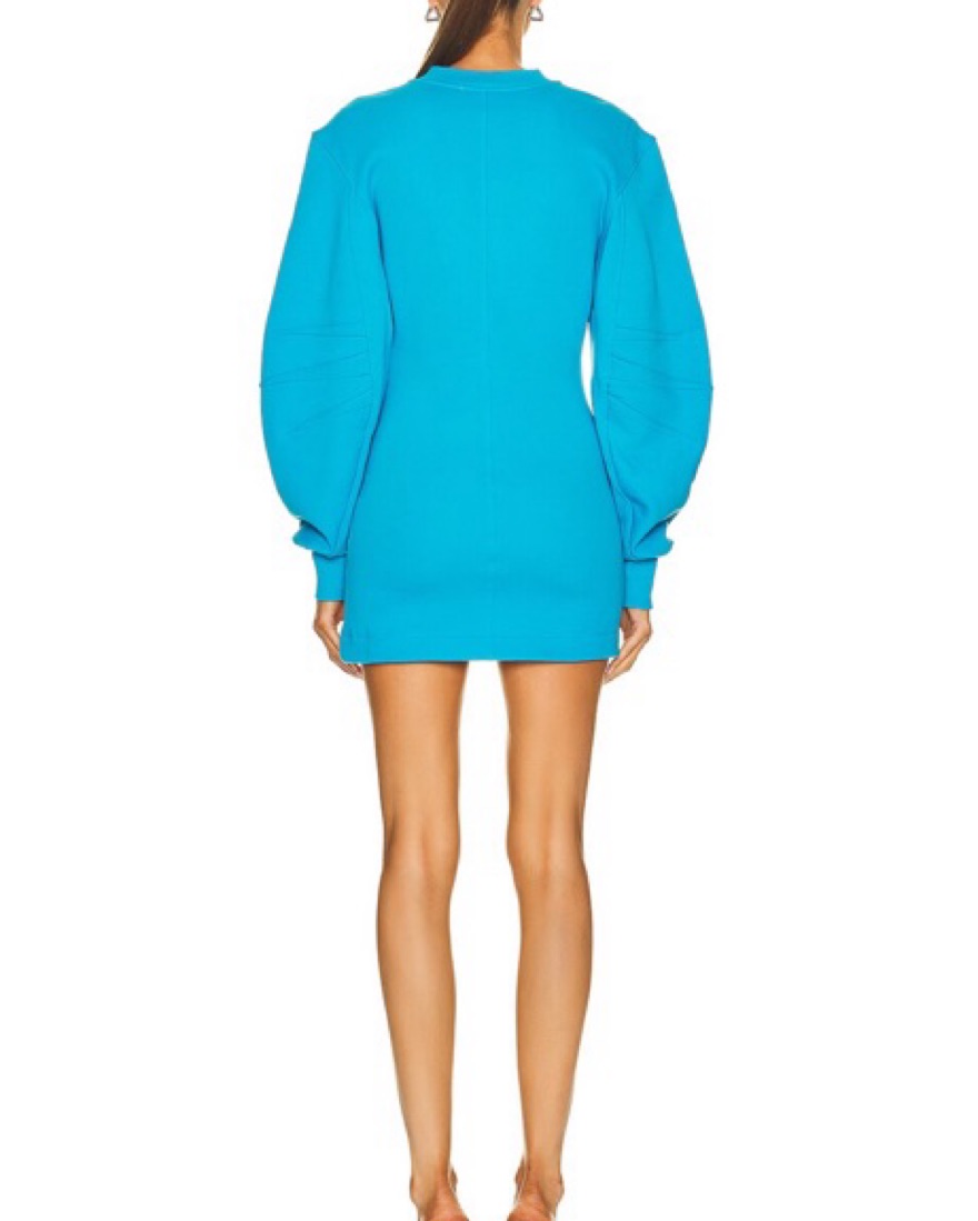 The attico Mini Dress | Pickle