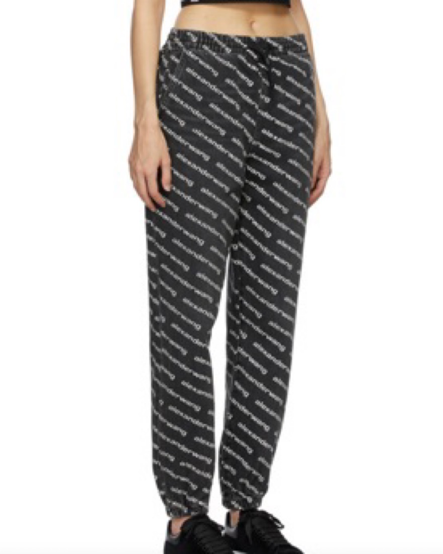 【正規品】美品 ALEXANDER WANG smoke print pants Alexander Wang Logo Print Jogger Jeans | Pickle