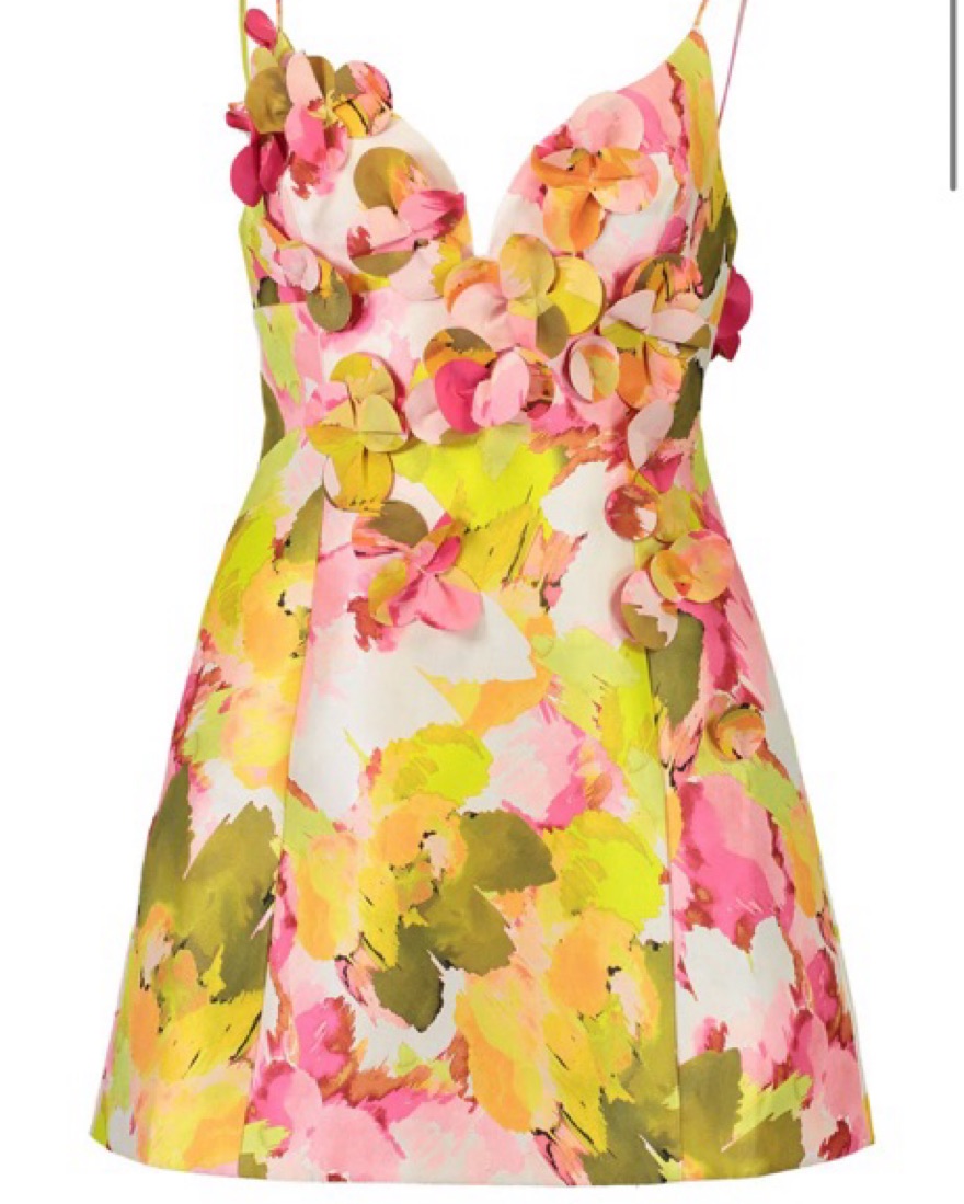 Acler Isla 3D Floral Embellished Dress by Acler - Pickle