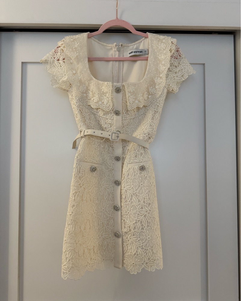 self-portrait Guipure lace mini dress by Self Portrait - Pickle
